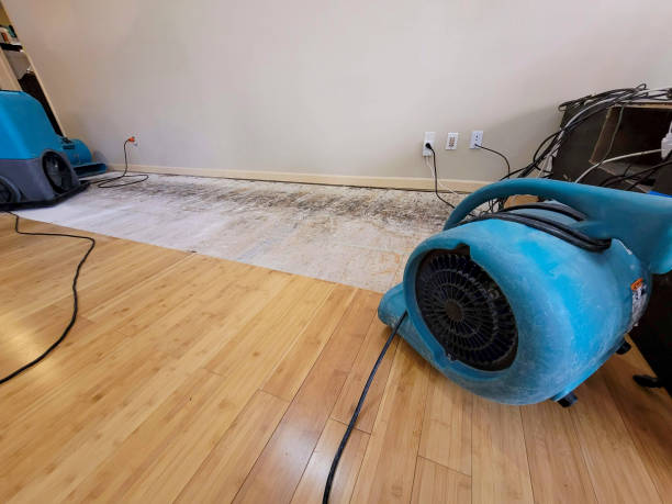 Professional Water Damage Repair technician working in Damascus, OH